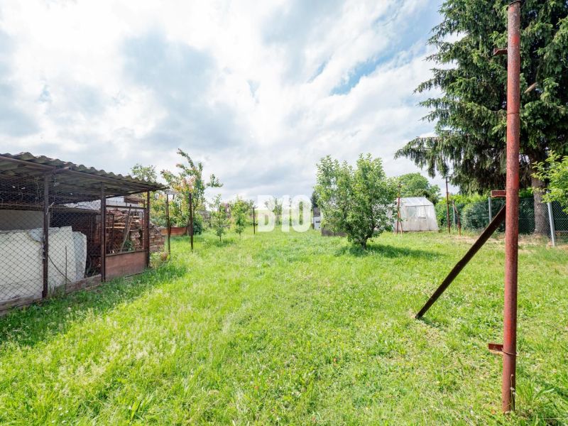 Travnatá zahrada u rodinného domu v Nitře se stromy a kůlnou.