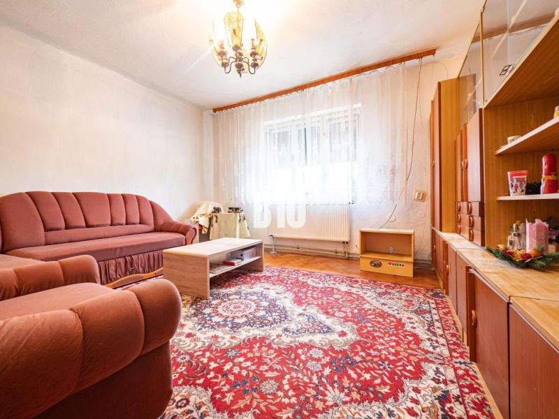 Obývací pokoj v rodinném domě s pohovkou, křeslem a kobercem na podlaze s dřevěným dekorem.