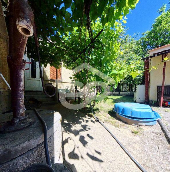 Rodinný dům na Sládkovičově 135 ve Zlatých Moravcích s dvorem obklopeným zelení.