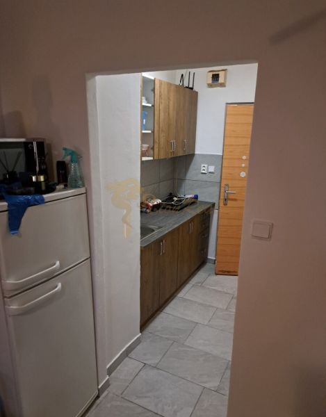 Garsonka s kuchyňkou, světlou podlahou a dřevěným dekorem skříněk.