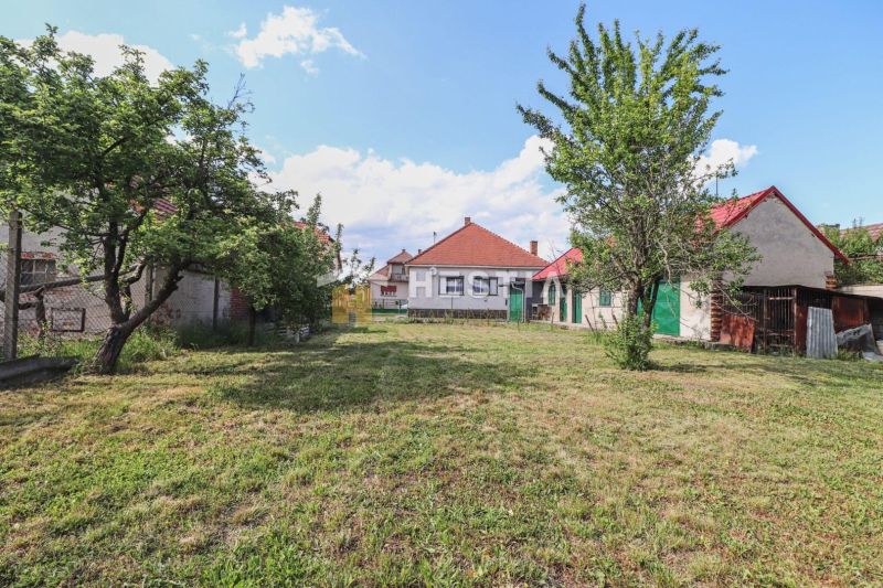 Pozemek u rodinného domu v Borském Mikuláši s trávníkem a ovocnými stromy.
