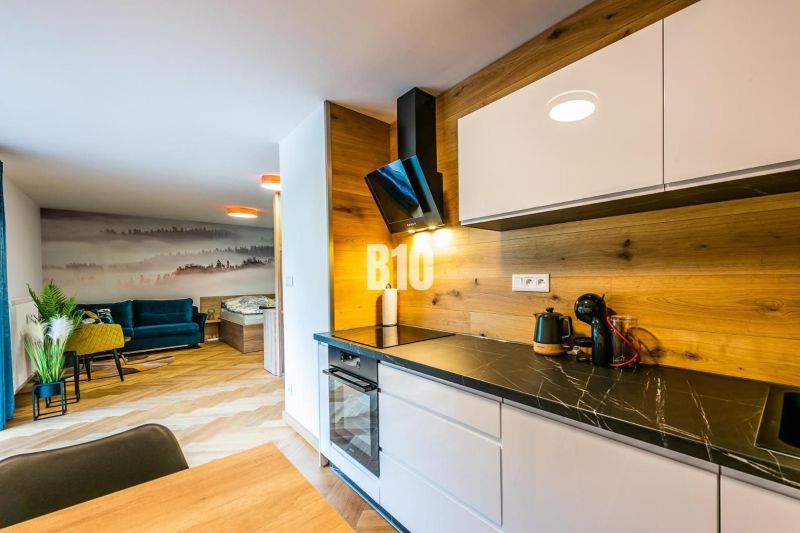 Kuchyně s dřevěným dekorem, pohovkou a uměleckou stěnou v rekreačním apartmánu.