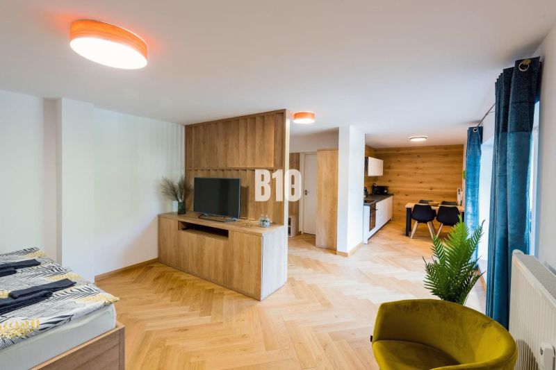Interiér rekreačního apartmánu s podlahou s dřevěným dekorem, televizí a kuchyňským koutem.