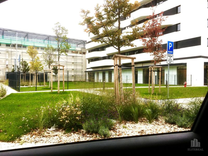 2-pokojový byt, Údernícka ulice, Bratislava - Petržalka, venkovní prostor, zeleň, parkoviště.