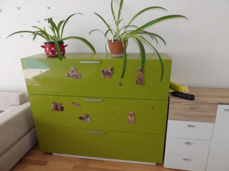 Zelená komoda s květinami a nálepkami psů, podlaha s dřevěným dekorem, 2pokojový byt.