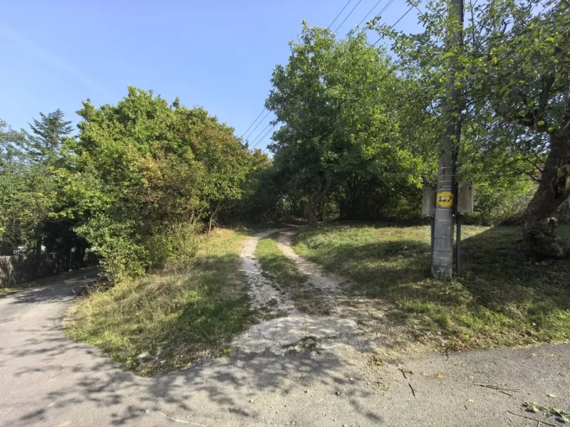 Viditelná rozvětvená cesta v zahradách Kolačna obklopená zelení a elektrickým sloupem.