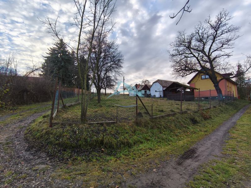 Rodinný dům na Prielohu v Dolní Strehové s oplocenou zahradou, stromy a přístupovou cestou.