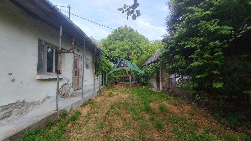 Zahrada u rodinného domu v Čelovcích s venkovským domem a stromy.