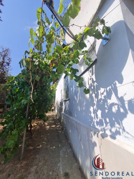 Exteriér rodinného domu v Dolních Otrokovicích s vinnou révou u stěny.