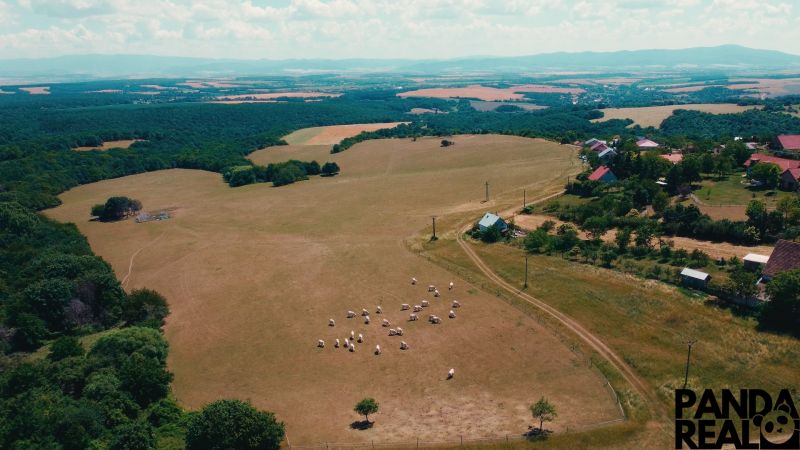 Krajina v Podhradí s pastvinami a ovcemi na prodej, vhodná na Pozemky - bydlení.