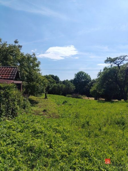 Zelené pozemky pro bydlení v Žehni obklopené stromy a modrou oblohou.