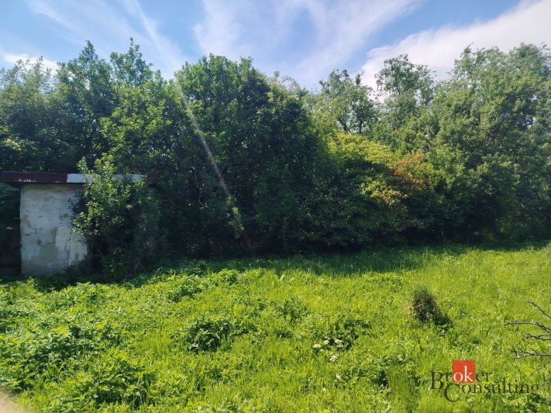 Pozemky - bydlení v Žehni s hustou zelení a starou stavbou.
