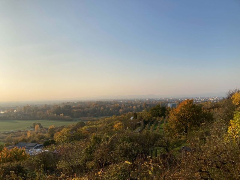 Panoráma podzimního lesa a polí s výhledem na město Banka.