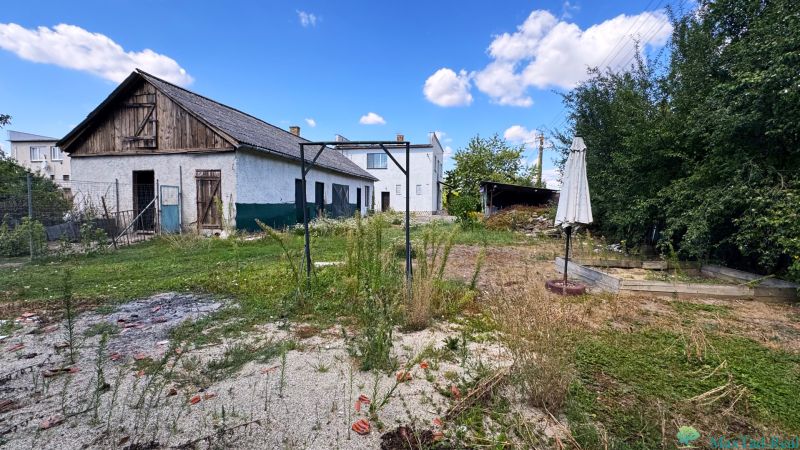 Rodinný dům na Jarní ulici v Novosadu s travnatou a betonovou zahradou.