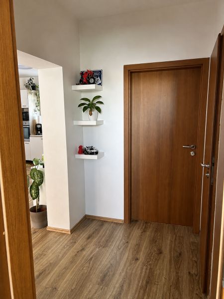 Chodba v 3-pokojovém bytě s dveřmi a podlahou s dřevěným dekorem.