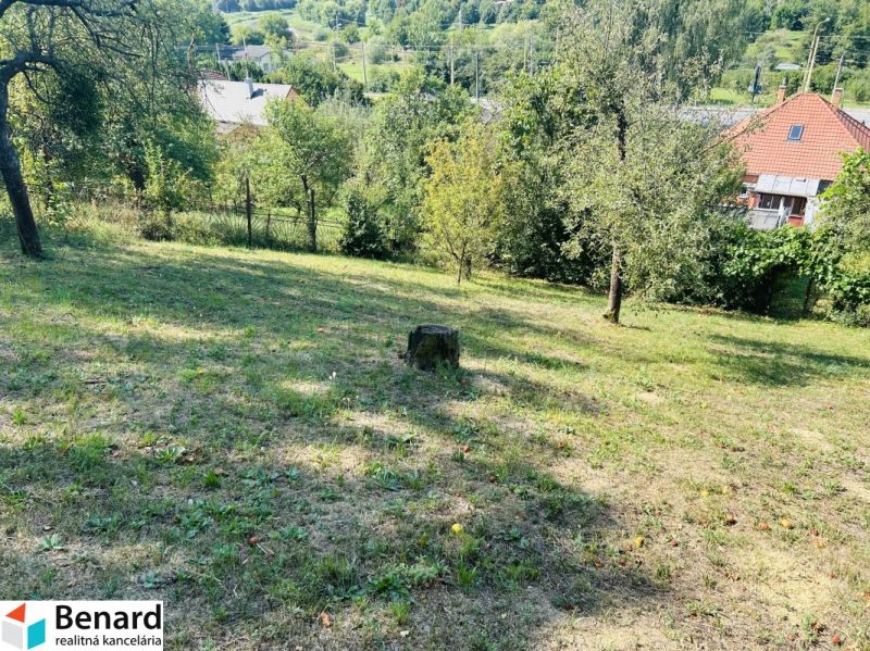 Zahrada u rodinného domu na Sabinovské ulici v Prešově s ovocnými stromy.