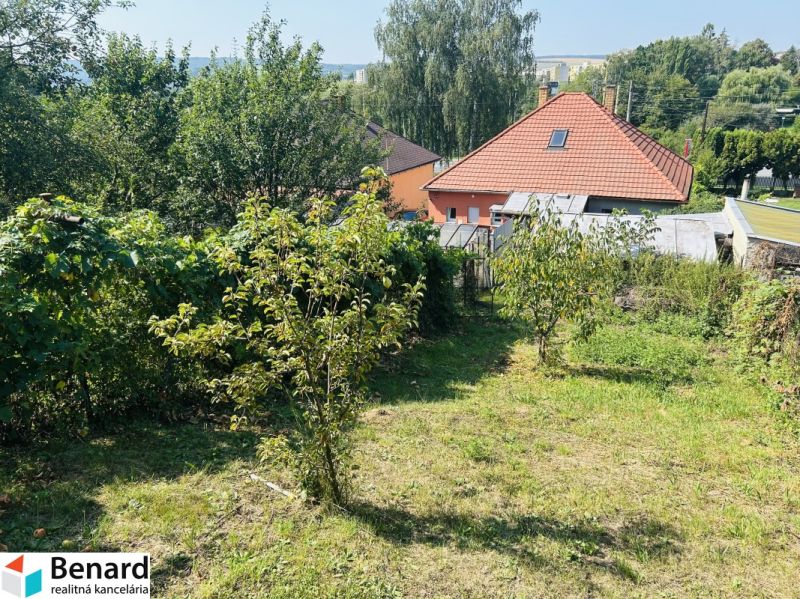 Zahrada u rodinného domu na Sabinovské ulici v Prešově s ovocnými stromy.