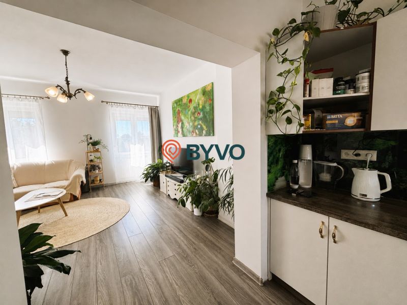 Obývací pokoj v 2-pokojovém bytě se světlem, rostlinami a podlahou s dřevěným dekorem.