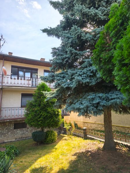Rodinný dům v Jelenci s balkonem obklopený zelení a jehličnatými stromy.