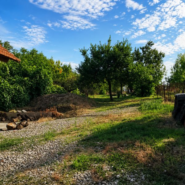 Zahrada u rodinného domu v Šalgočce, s trávou a ovocnými stromy.