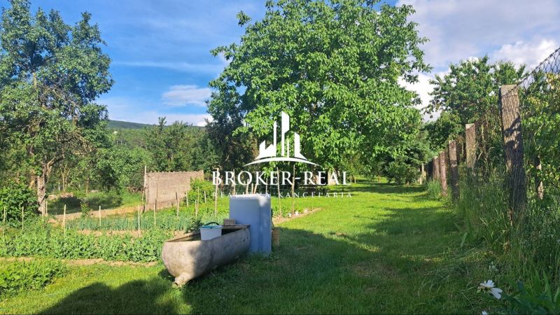 Zahrada rodinného domu v Gönci s množstvím zeleně a vzrostlými stromy.