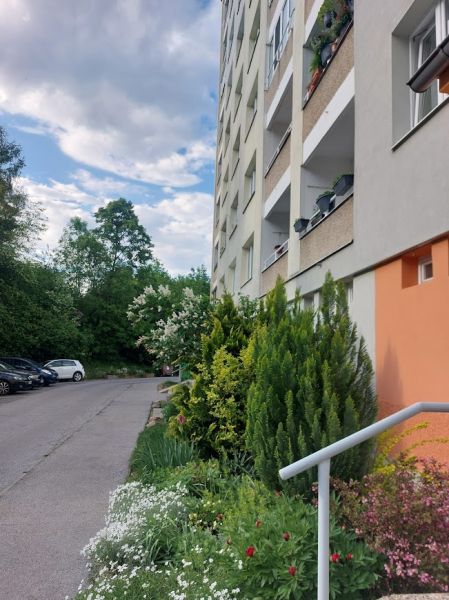 Bytový dům na Internátní ulici v Banské Bystrici obklopený zelení a parkováním.