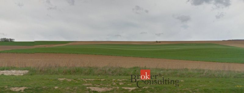 Rozlehlé zelené pole v Lužiankách, vhodné pro pozemky - bydlení.