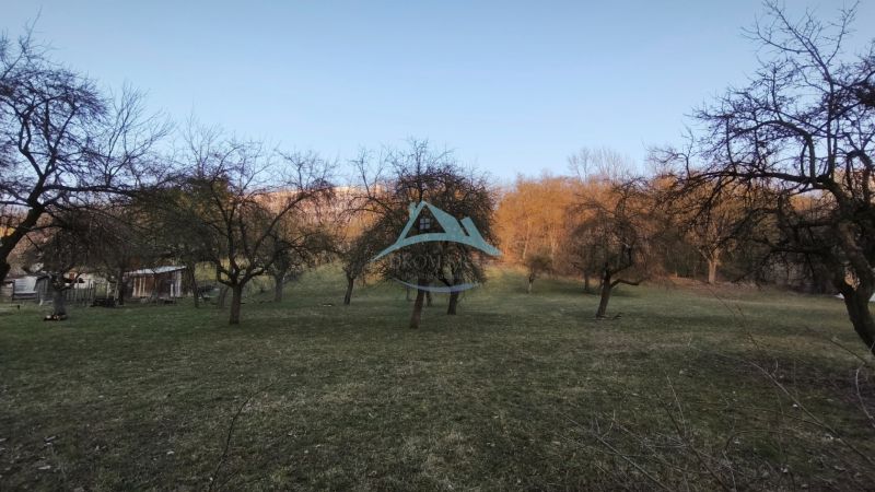 Pozemky - bydlení na ulici A. H. Škultétyho ve Velkém Krtíši se stromy a travnatou plochou.
