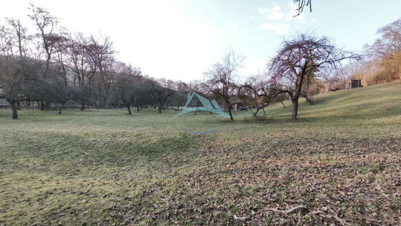 Zeleň s ovocnými stromy na mírném svahu na pozemcích pro bydlení na A. H. Škultétyho ve Velkém Krtíši.