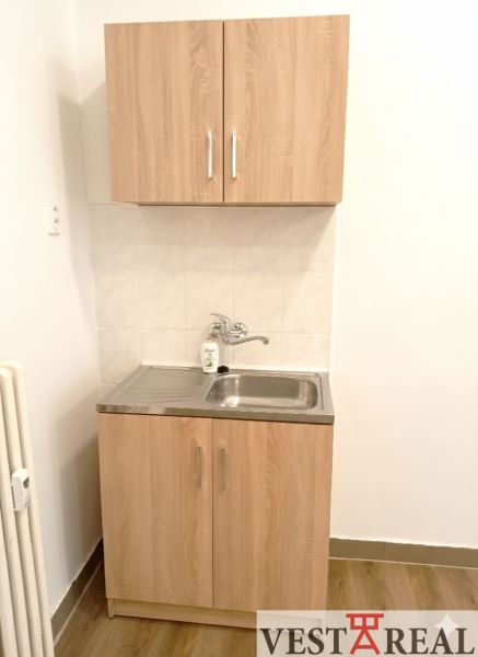 Malá kuchyňská linka s umyvadlem a skříňkami, podlaha s dřevěným dekorem.