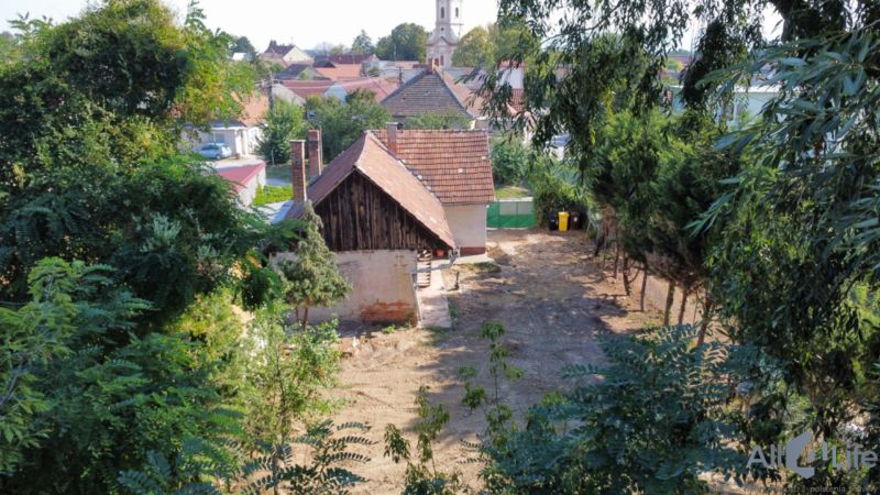 Rodinný dům na Náměstí sv. Floriána v Krakovanech s okolní zelení.
