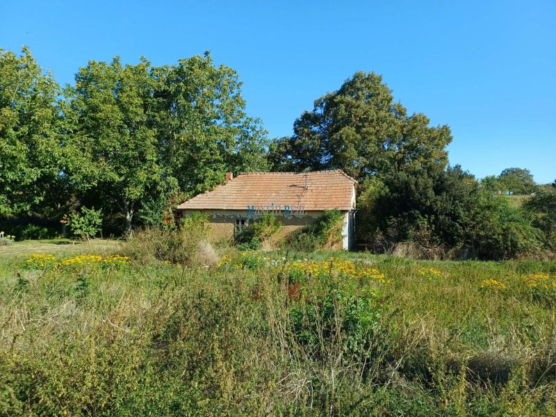 Dům obklopený vegetací na Hlavní ulici v Cerovinách, Pozemky - bydlení.