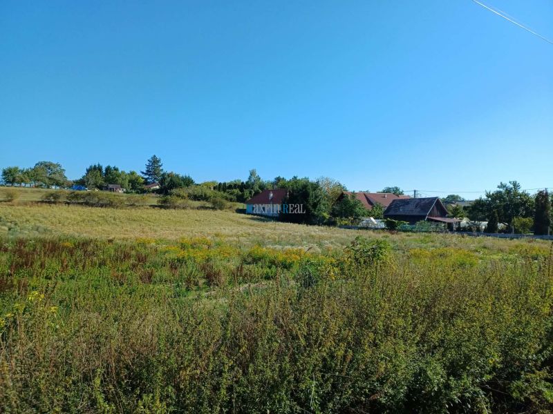 Pozemek na bydlení na ulici Hlavní v Cerovinách obklopený zelení.