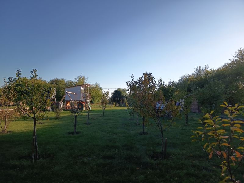 Trávník se stromy v zahradách na Tatranské 201, Zlaté Moravce.