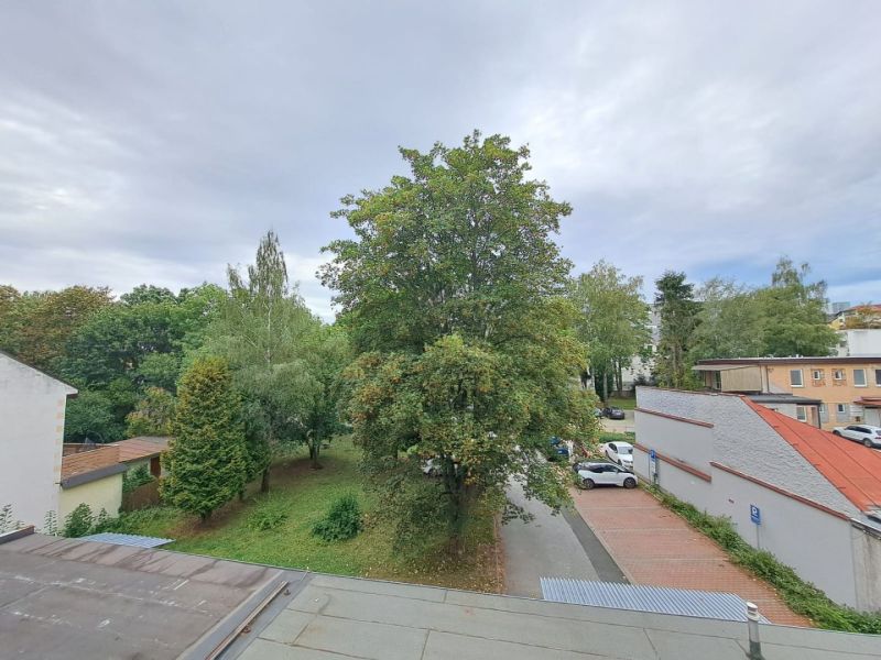 Výhled z 3pokojového bytu v Popradu na zeleň a parkovací místa před budovami.