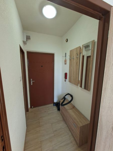 Vstupní chodba v garsonce se skříní a dřevěným dekorem na podlaze.