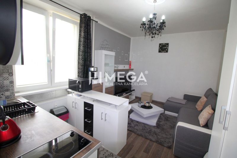 Obývací pokoj s kuchyní v rekreačním apartmánu, podlaha s dřevěným dekorem, šedá pohovka.