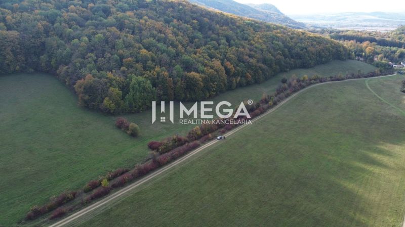 Louky a lesy v oblasti zvláštních nemovitostí u Jasenova v okrese Jasenov.