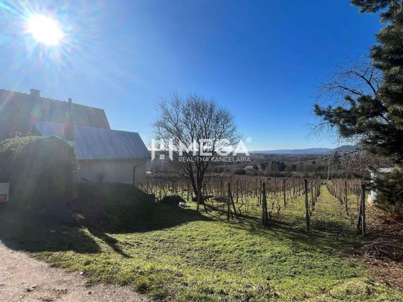 Slunečný den v obci Viničky s rodinným domem a vinicí na ulici Viničky.
