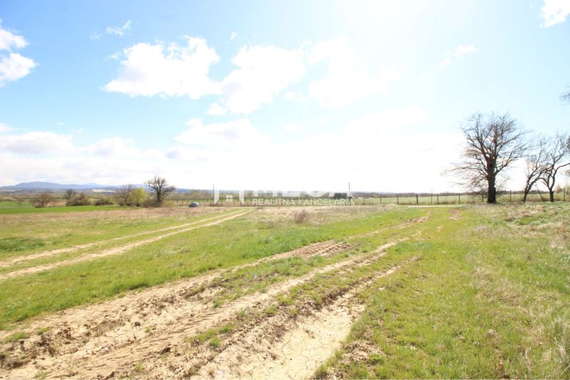 Pozemky - bydlení ve Vranově nad Topľou se zemitou cestou a stromy na horizontu.