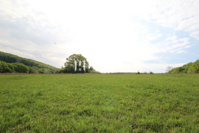 Zeleň louky a stromy v pozadí, Vyšný Kazimír, pozemky - bydlení.