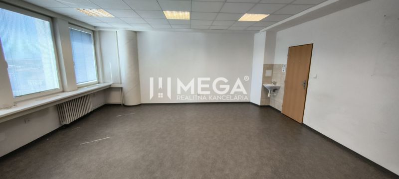 Prostorná kancelář s podlahou s dřevěným dekorem, umyvadlem a velkými okny.
