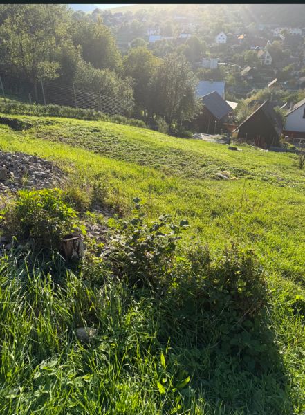 Zahrada u ulice Košecké Podhradie vhodná k bydlení, s překrásným výhledem na obec.