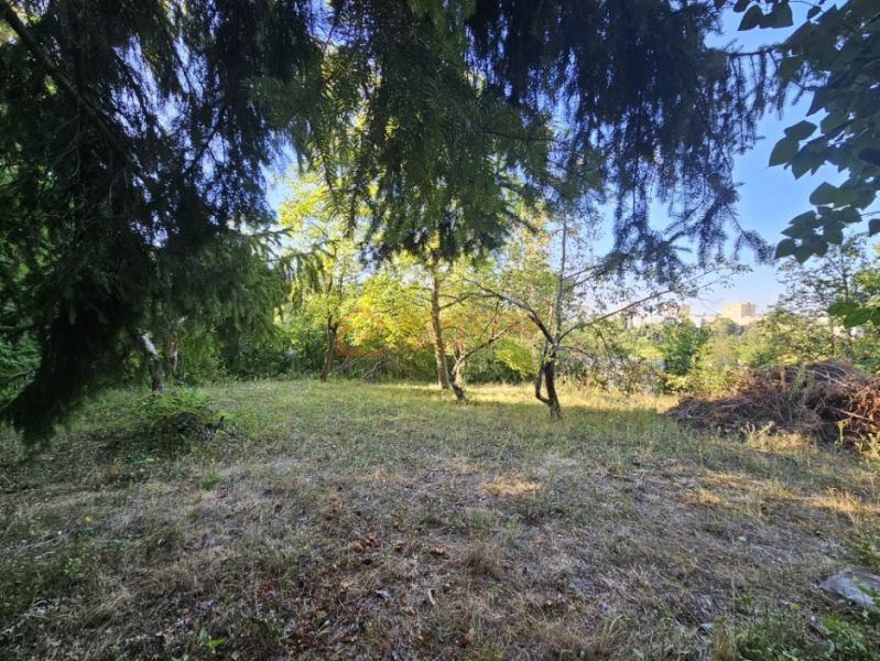Zahrada na Šípkové ulici v Košicích, městské části Krásná, s hustou zelení a stromy.