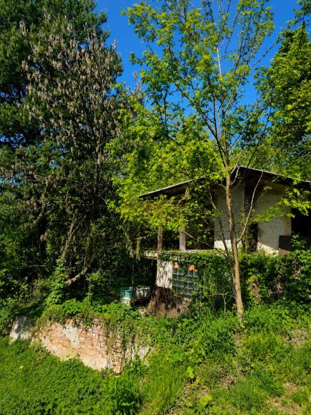 Chatka obklopená stromy a zelení v zahradách na Šípkové ulici, Košice - městská část Krásná.