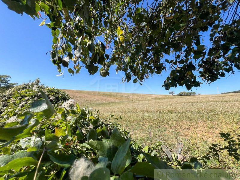 Pole a stromy obklopené zelení v Zahradách u Pastuchova pod modrou oblohou.