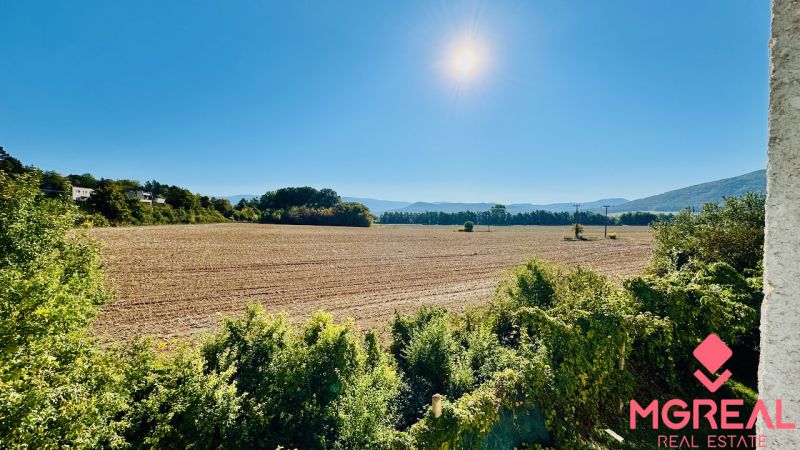 Rozlehlé pole v Malých Kršteňanech pod modrou oblohou, obklopené zelení a sluncem.