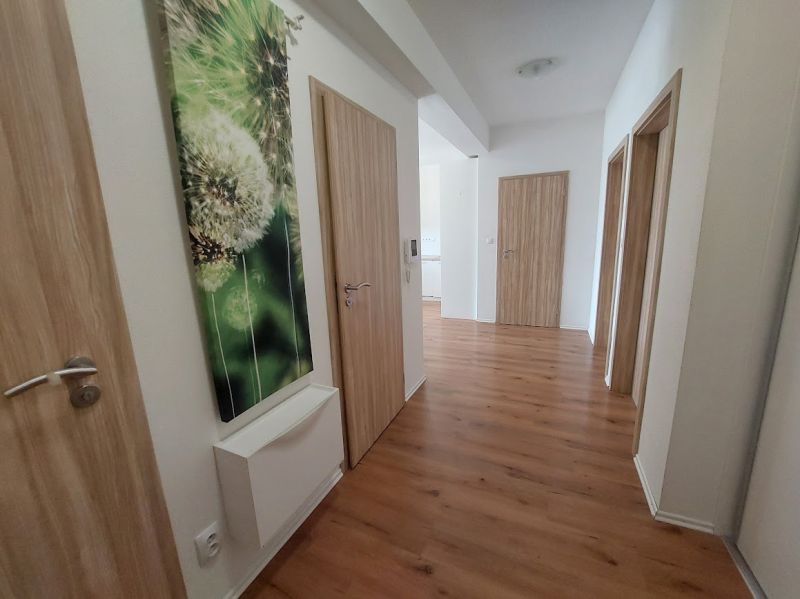 Chodba ve 3-pokojovém bytě s podlahou s dřevěným dekorem a obrazem pampelišky.