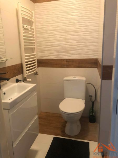 Kompaktní koupelna ve 2pokojovém bytě s umyvadlem a toaletou.