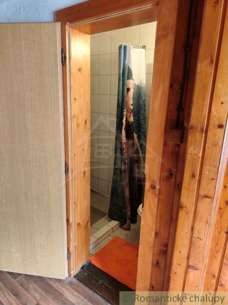 Koupelna na chatě s dřevěným rámem dveří a oranžovým koberečkem.